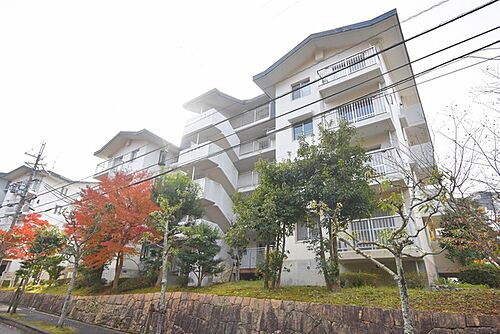 奈良県奈良市青山１丁目 賃貸マンション