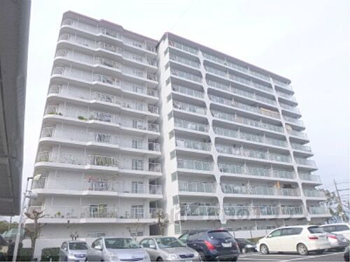 滋賀県大津市におの浜２丁目 築49年1ヶ月 11階建