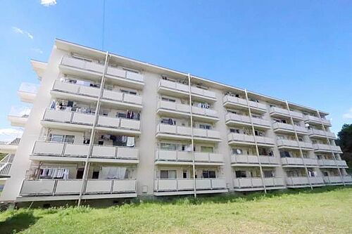兵庫県三田市福島 賃貸マンション