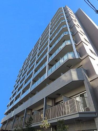 東京都墨田区緑１丁目 11階建 築5年11ヶ月