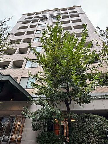 東京都新宿区新宿１丁目 15階建 築27年5ヶ月