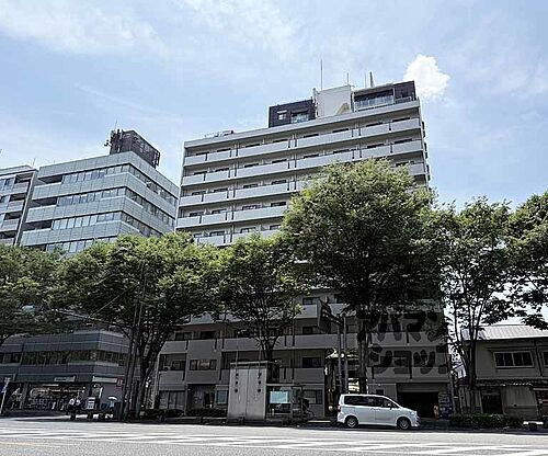京都府京都市中京区丸木材木町 11階建 築39年1ヶ月