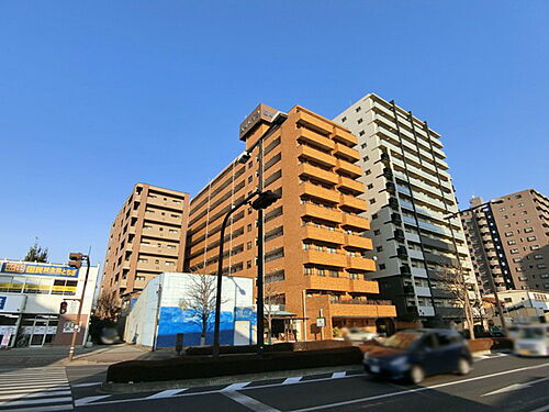 栃木県宇都宮市桜２丁目 11階建