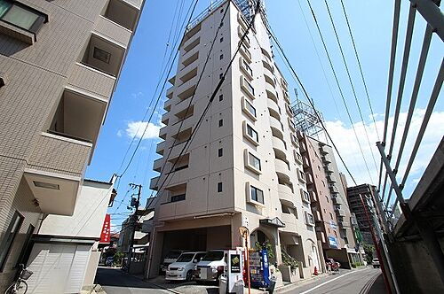 広島県広島市西区大芝３丁目 10階建