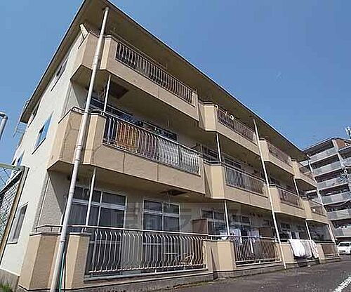 京都府京都市西京区御陵内町 築40年9ヶ月 3階建