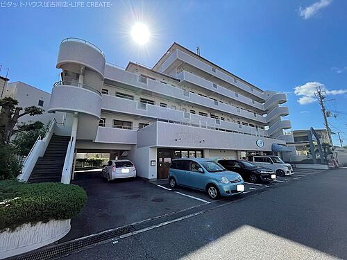 兵庫県加古川市加古川町北在家 賃貸マンション