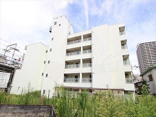 エヴァーグリーンタナカ