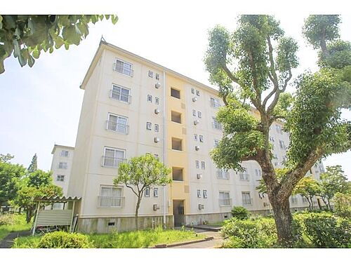 ＵＲ金剛団地　５号棟