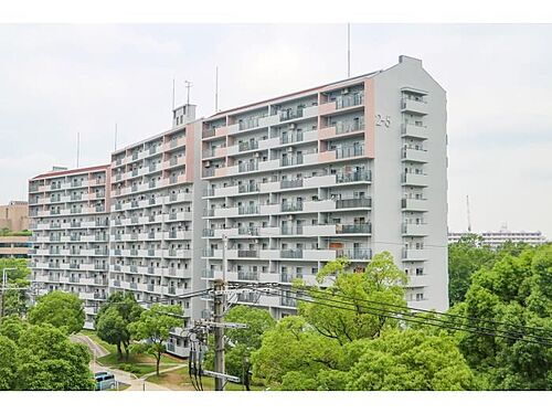大阪府堺市南区新檜尾台２丁 賃貸マンション
