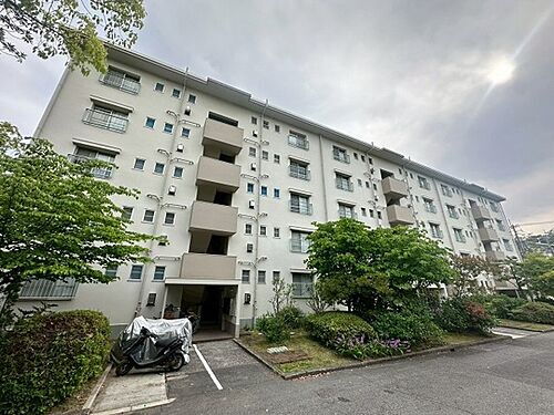 大阪府箕面市粟生間谷西４丁目 5階建 築50年10ヶ月