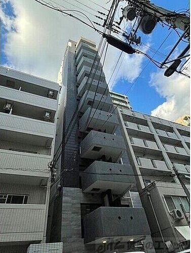 ＨＯＲＩＺＯＮ　ＵＭＥＤＡ　ＮＯＲＴＨ