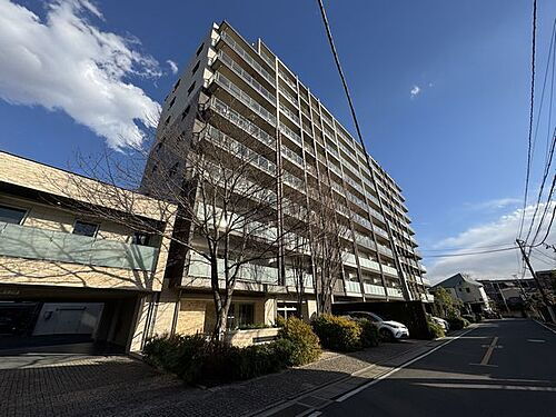 レーベン柏クリスタルアイル宙テラス 柏駅 3LDK 賃貸(賃貸マンション・アパート)