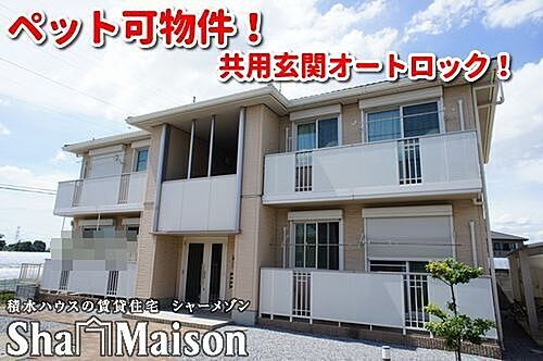 カトリーヌD 細谷駅 1LDK 賃貸(賃貸マンション・アパート)