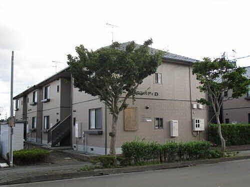 ハウス・パディD