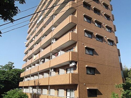 長野県上田市常入１丁目 11階建 築33年4ヶ月