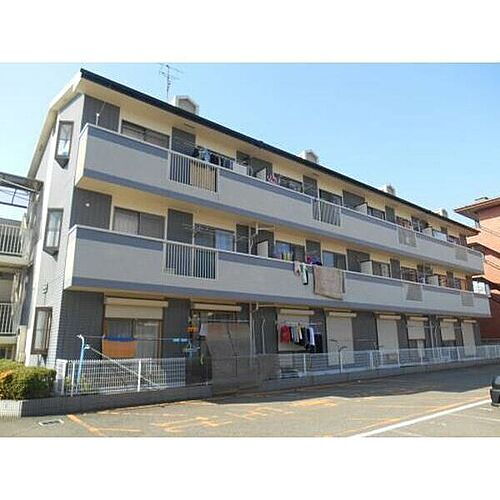 グリーン・フォーレスト