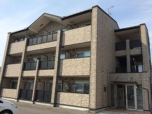 ピュアセルト森尾２