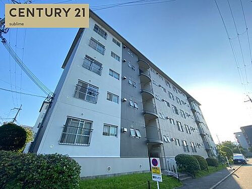 滋賀県大津市打出浜 賃貸マンション