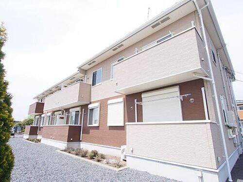 プラシードフィル　Ｖ