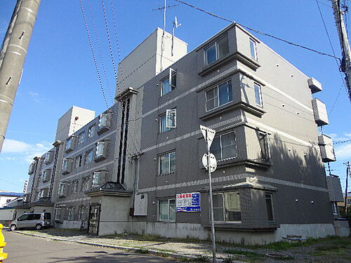 エンドレス五稜郭Ａ棟 4階建