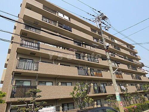 大阪府八尾市渋川町３丁目 賃貸マンション