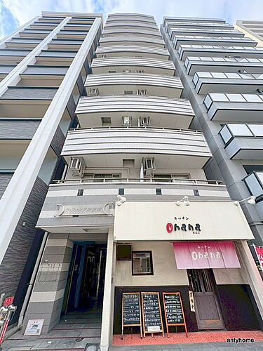 大阪府大阪市西区本田２丁目 11階建 築13年4ヶ月