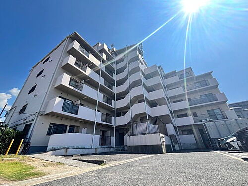 大阪府堺市西区浜寺南町１丁 7階建 築30年10ヶ月