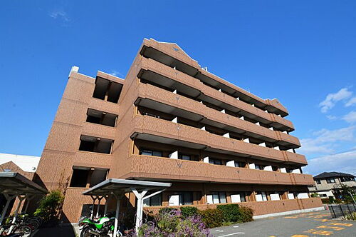 大阪府堺市美原区真福寺 築18年9ヶ月 5階建