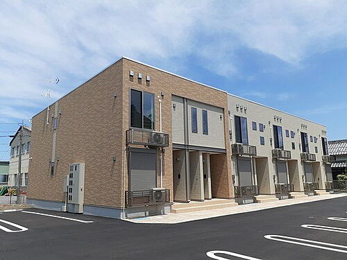 ガーデン・アイリス