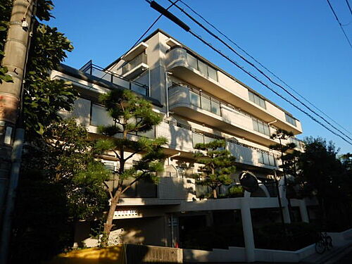 兵庫県神戸市東灘区住吉東町１丁目 5階建 築38年8ヶ月