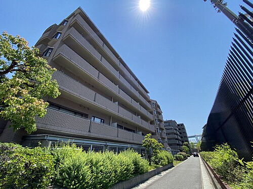 兵庫県神戸市東灘区魚崎南町５丁目 賃貸マンション