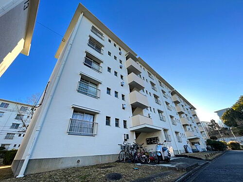 大阪府大阪狭山市西山台５丁目 5階建 築54年