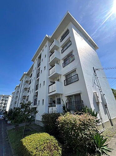 大阪府堺市南区槇塚台２丁 5階建 築51年10ヶ月