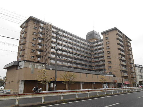 大阪府高石市羽衣１丁目 築50年2ヶ月 11階建