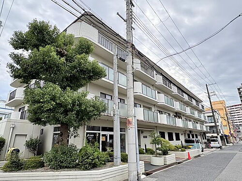 兵庫県神戸市東灘区青木５丁目 築45年6ヶ月 4階建