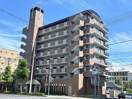 ＩＶＹ　ＨＥＩＧＨＴＳ