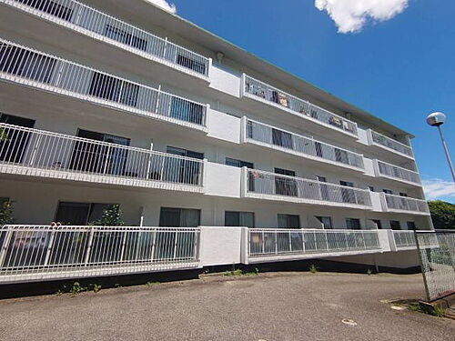 兵庫県神戸市東灘区鴨子ケ原２丁目 築49年11ヶ月 地上4階地下1階建