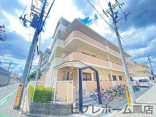 大阪府高石市高師浜４丁目 4階建 築33年3ヶ月