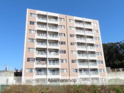 静岡県浜松市中央区和合町 6階建 築13年8ヶ月