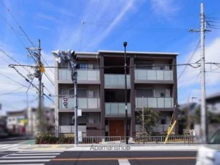 ＳｈａＭａｉｓｏｎ　Ｆｒｉｓｅ