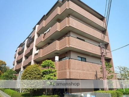 ジョイ・ディール