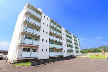 ビレッジハウス美園ＩＩ８号棟 5階建