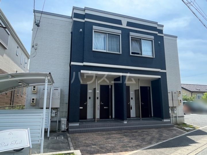 キャットテール