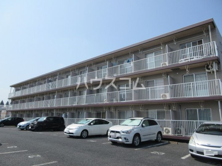 グレイスコート