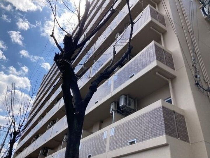 サウスフラット 9階建