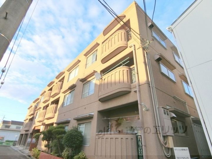 セブンハイム 3階建
