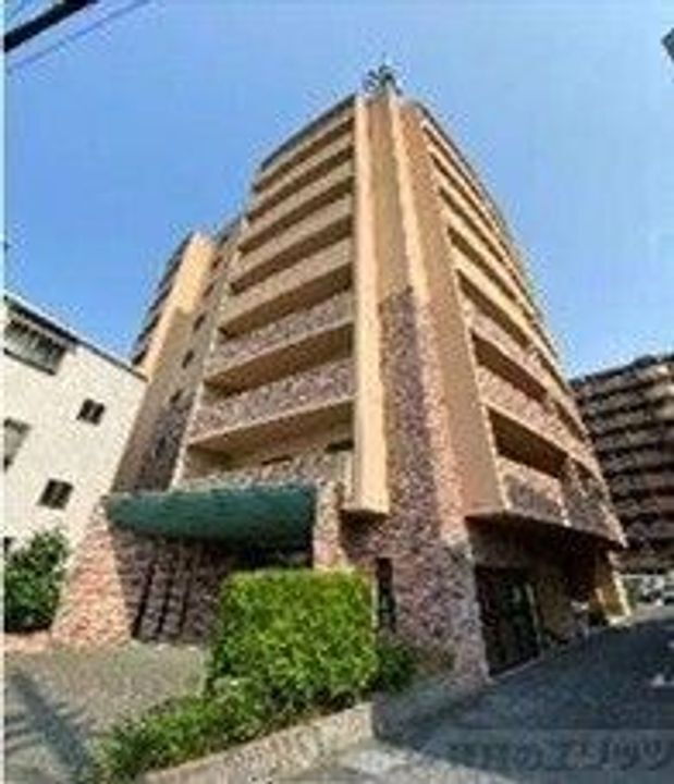 キャニスコート上新庄 9階建