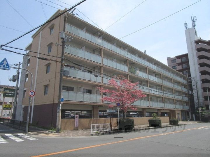 ルーセントパークショア