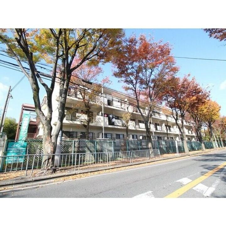 サンハイム杉林 3階建