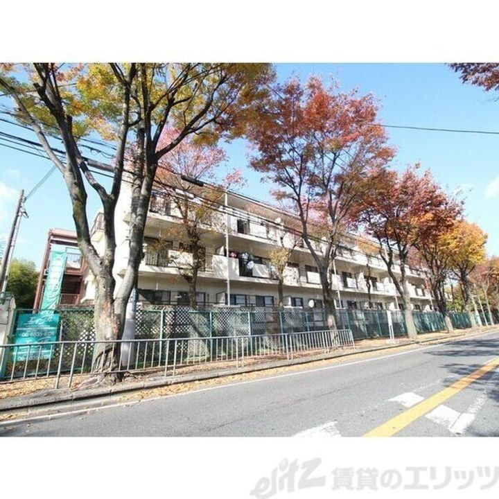 サンハイム杉林